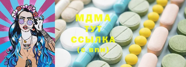 индика Тихвин