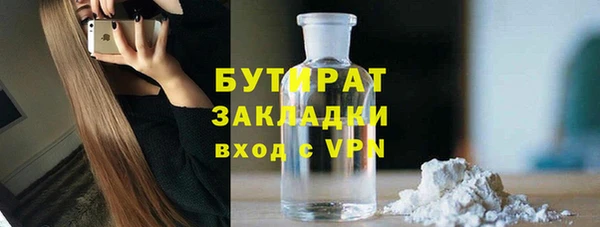 индика Тихвин