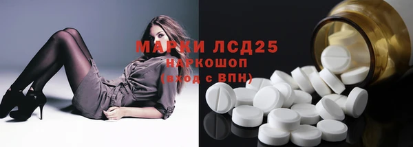 индика Тихвин