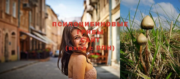 винт Тобольск