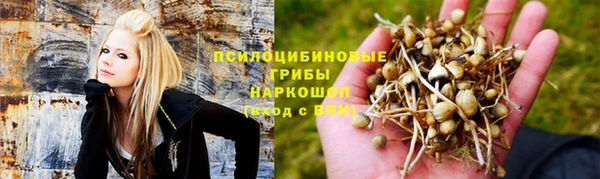 индика Тихвин